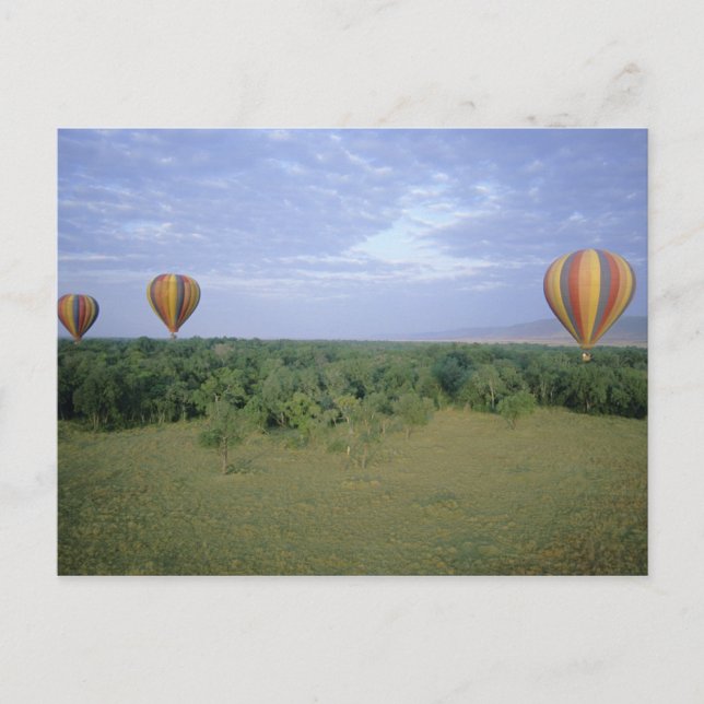 Africa, Kenya, Masai Mara National Preserve, 2 Postcard (Front)