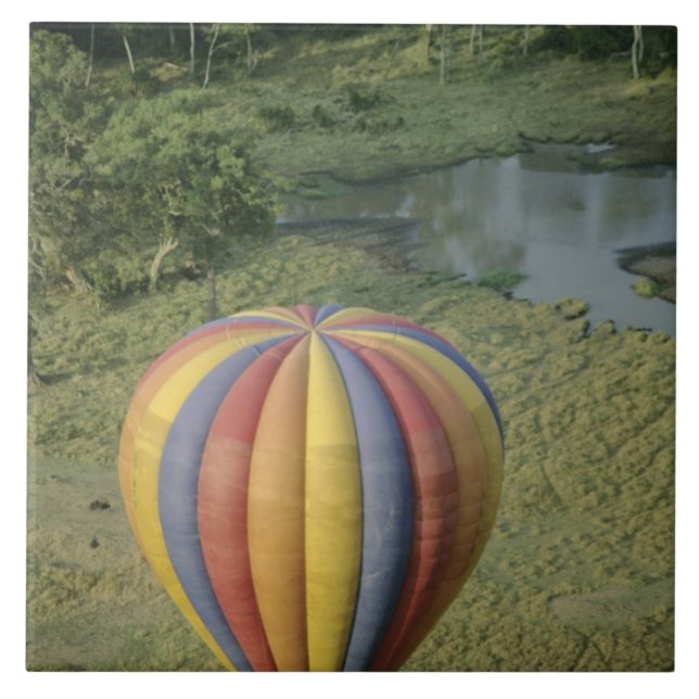 Africa, Kenya, Masai Mara National Preserve, 3 Tile (Front)
