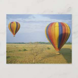 Africa, Kenya, Masai Mara National Preserve, Postcard