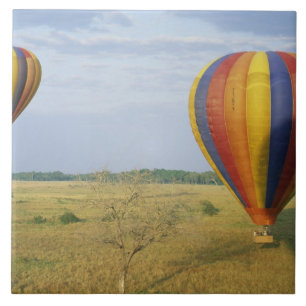 Africa, Kenya, Masai Mara National Preserve, Tile