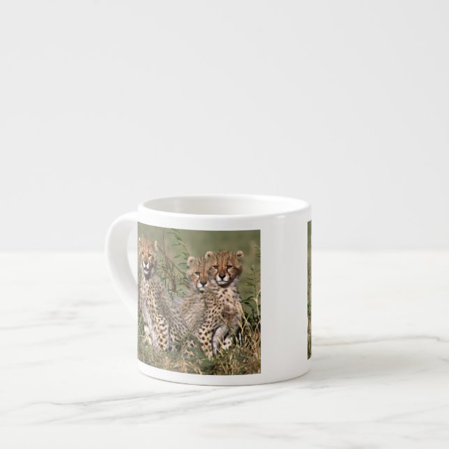 Africa; Kenya; Masai Mara; Three cheetah cubs Espresso Cup (Front Left)