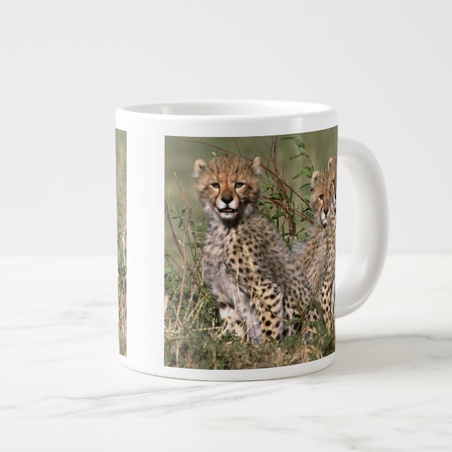 Africa; Kenya; Masai Mara; Three cheetah cubs Large Coffee Mug (Front Right)