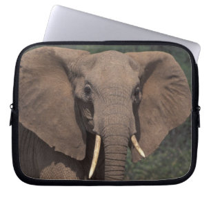 Africa, Kenya, Nanyuki, Mpala. African Elephant. Laptop Sleeve