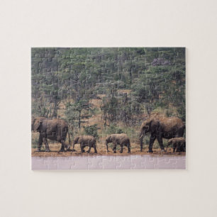 Africa, Kenya, Nanyuki, Mpala. African Jigsaw Puzzle