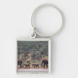 Africa, Kenya, Nanyuki, Mpala. African Key Ring