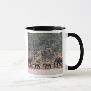 Africa, Kenya, Nanyuki, Mpala. African Mug