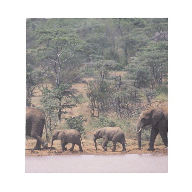 Africa, Kenya, Nanyuki, Mpala. African Notepad (Front)