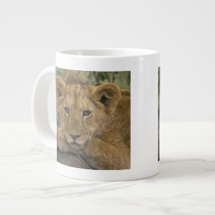 Africa, Kenya. Portrait of a lion. Large Coffee Mug