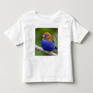 Africa. Kenya. Purple Grenadier Toddler T-Shirt
