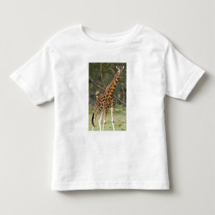 Africa. Kenya. Rothschild's Giraffe at Lake 2 Toddler T-Shirt