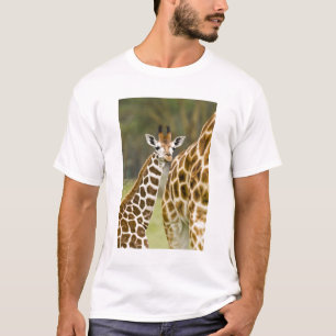 Africa. Kenya. Rothschild's Giraffe baby T-Shirt
