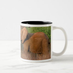 Africa, Kenya, Samburu. Elephant challenge Two-Tone Coffee Mug