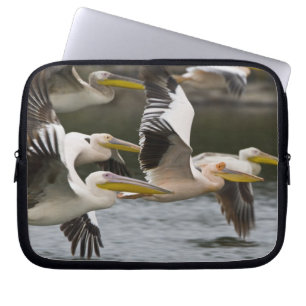 Africa. Kenya. White Pelicans in flight at Lake Laptop Sleeve