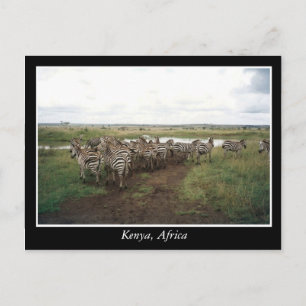 Africa Kenya wild animals Postcard