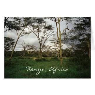 Africa Kenya wild land