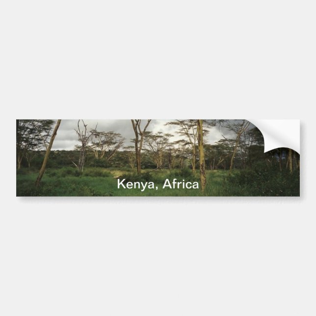 Africa Kenya wild land Bumper Sticker (Front)
