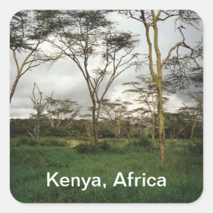 Africa Kenya wild land Square Sticker