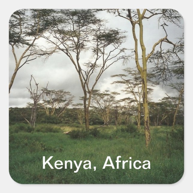 Africa Kenya wild land Square Sticker (Front)