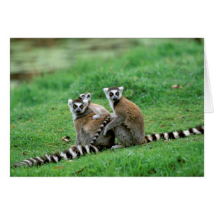 Africa, Madagascar, Antananarivo, Tsimbazaza