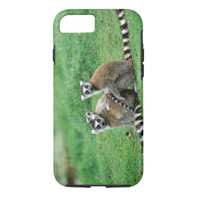 Africa, Madagascar, Antananarivo, Tsimbazaza Case-Mate iPhone Case (Back)