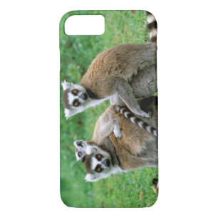 Africa, Madagascar, Antananarivo, Tsimbazaza iPhone 8/7 Case
