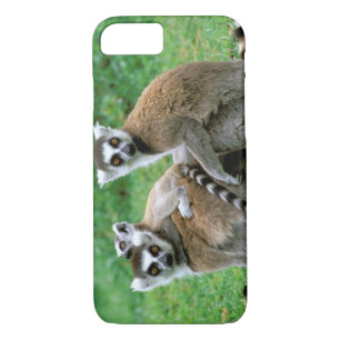 Africa, Madagascar, Antananarivo, Tsimbazaza iPhone 8/7 Case