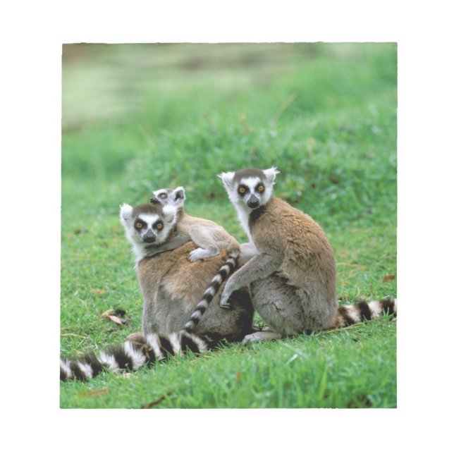 Africa, Madagascar, Antananarivo, Tsimbazaza Notepad (Front)