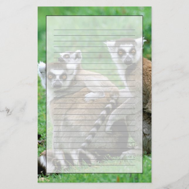 Africa, Madagascar, Antananarivo, Tsimbazaza Stationery (Front)