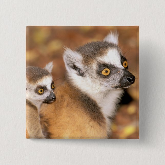 Africa, Madagascar, Berenty Private Reserve. 15 Cm Square Badge (Front)