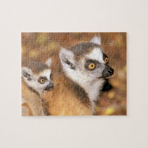 Africa, Madagascar, Berenty Private Reserve. Jigsaw Puzzle