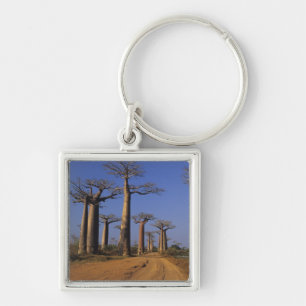 Africa, Madagascar, Morondava, Baobab Avenue. Key Ring