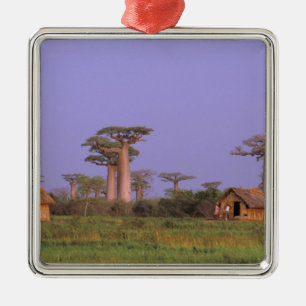 Africa, Madagascar, Morondava. Baobabs Metal Tree Decoration