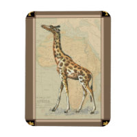 Africa Map and a Giraffe