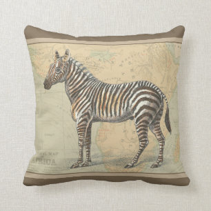 Africa Map and a Zebra Cushion