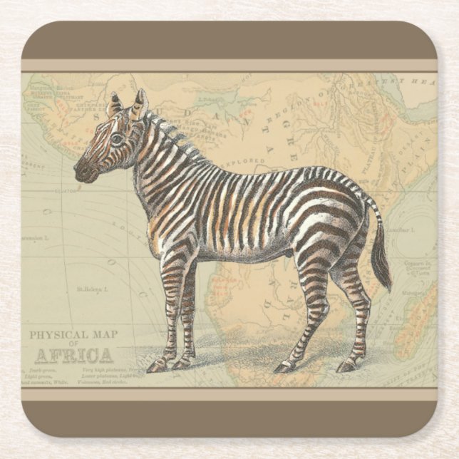 Africa Map and a Zebra Square Paper Coaster (Front)