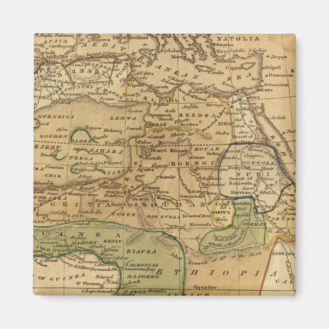 Africa  Map by Worcester Magnet (Front)