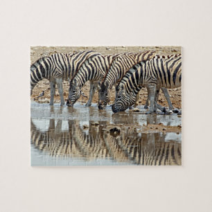 Africa, Namibia, Etosha NP. Burchell's Zebra Jigsaw Puzzle