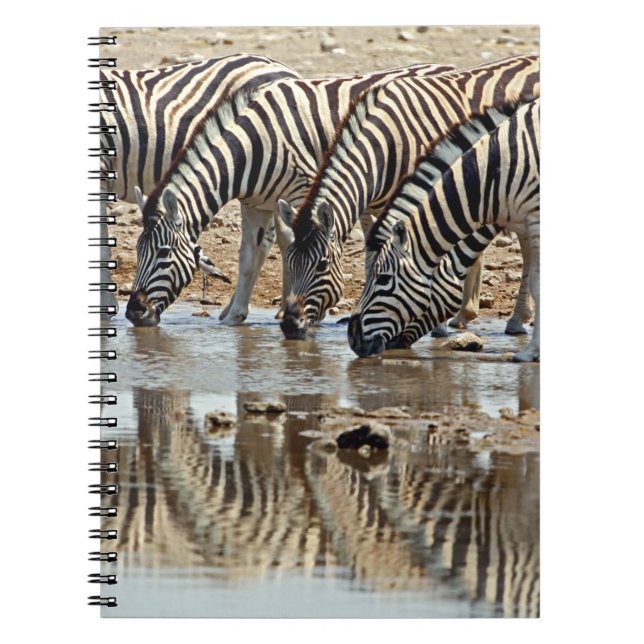 Africa, Namibia, Etosha NP. Burchell's Zebra Notebook (Front)