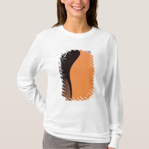 Africa, Namibia, Evening light on dunes, T-Shirt