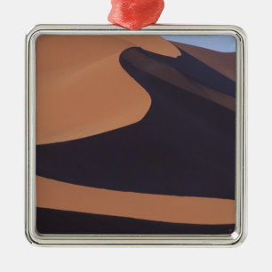 Africa, Namibia, Namib Desert. Sossusvlei. Metal Tree Decoration