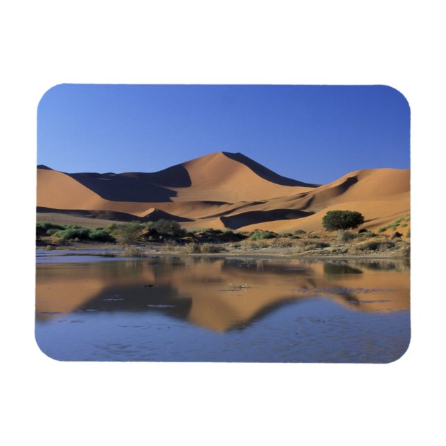 Africa, Namibia, Namib National Park, Sossusvlei 2 Magnet (Horizontal)