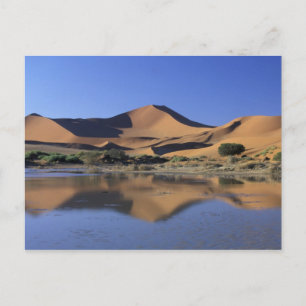 Africa, Namibia, Namib National Park, Sossusvlei 2 Postcard