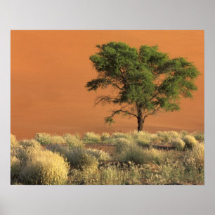 Africa, Namibia, Namib National Park, Sossusvlei Poster