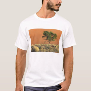 Africa, Namibia, Namib National Park, Sossusvlei T-Shirt