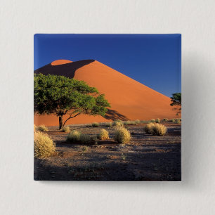 Africa, Namibia, Namib-Naukluff Park, Sossosvlei 15 Cm Square Badge