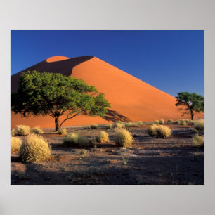 Africa, Namibia, Namib-Naukluff Park, Sossosvlei Poster