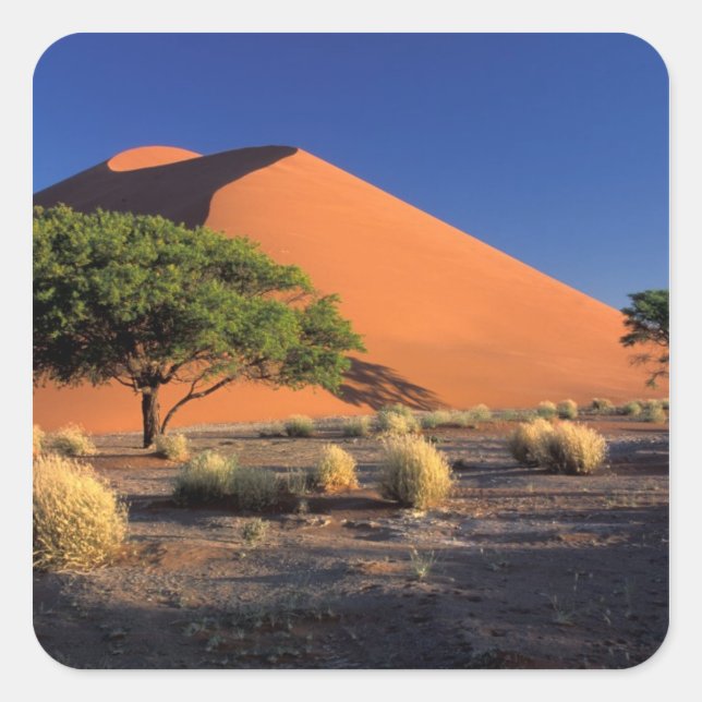 Africa, Namibia, Namib-Naukluff Park, Sossosvlei Square Sticker (Front)