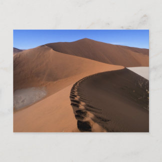 Africa, Namibia, Namib Naukluft National Park, 2 Postcard