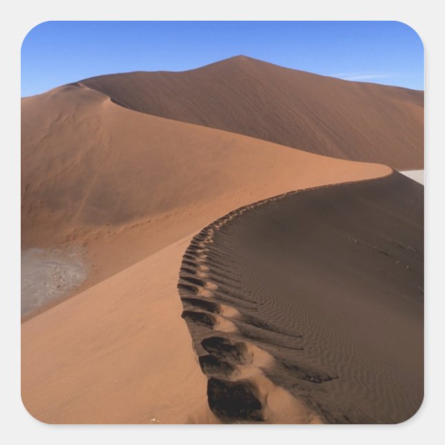 Africa, Namibia, Namib Naukluft National Park, 2 Square Sticker (Front)
