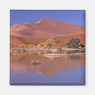 Africa, Namibia. Namib-Naukluft Park. 2 Magnet